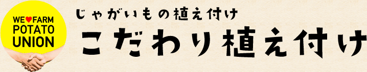 じゃがいもの植え付け こだわり植え付け