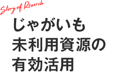 じゃがいも未利用資源の有効活用