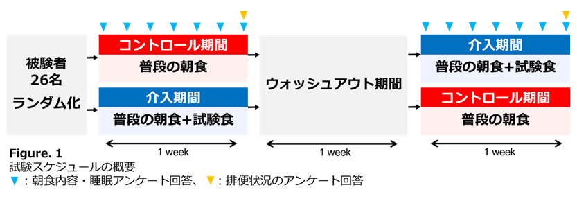 図1. 試験の概要