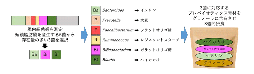 図1. 腸内細菌叢タイプに合わせた試験食品の摂食の図