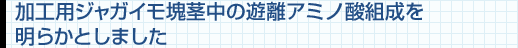 加工用ジャガイモ塊茎中の遊離アミノ酸組成を明らかとしました