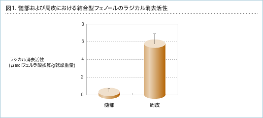 図1.髄部および周皮における結合型フェノールのラジカル消去活性