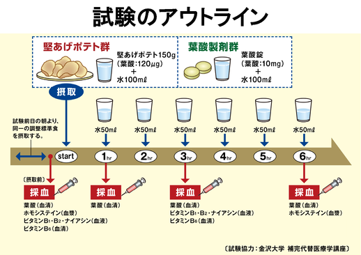 図１．摂取試験の概要