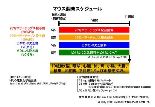 図１．試験の概要