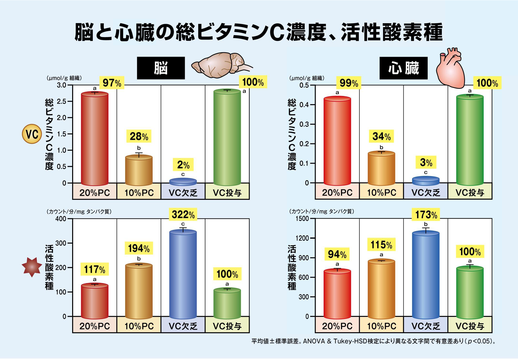 図２．脳と心臓のビタミンＣと活性酸素種