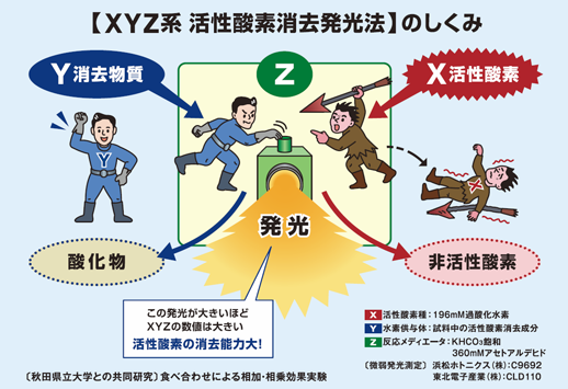 図1.XYZ系活性酸素消去発行法のしくみ