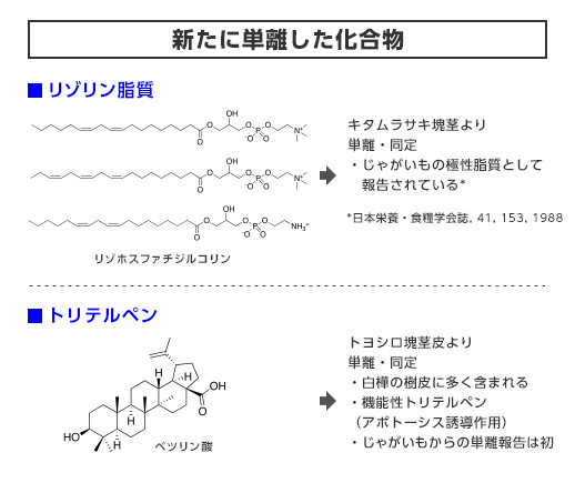 トリテルペン