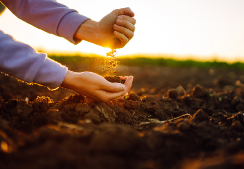 新規領域について