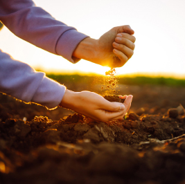 土を持っている人