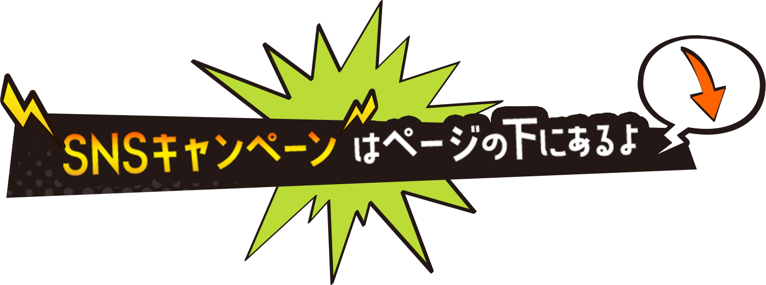 SNSキャンペーンはページの下にあるよ