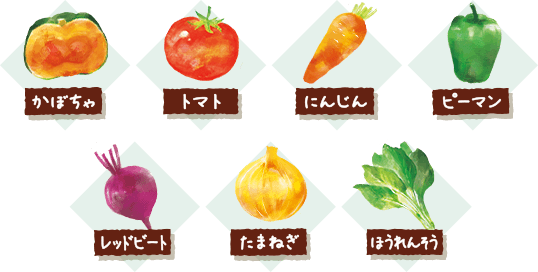 かぼちゃ トマト にんじん ピーマン レッドビート たまねぎ ほうれんそう