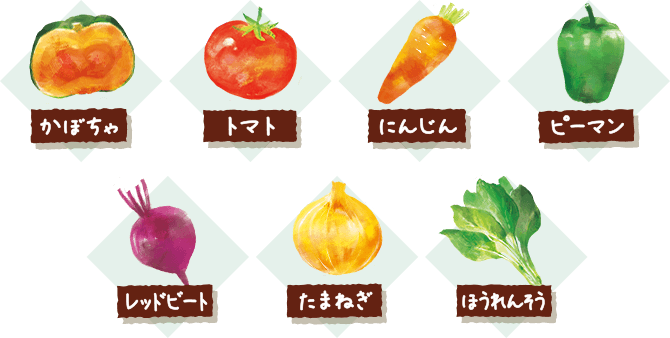 かぼちゃ トマト にんじん ピーマン レッドビート たまねぎ ほうれんそう