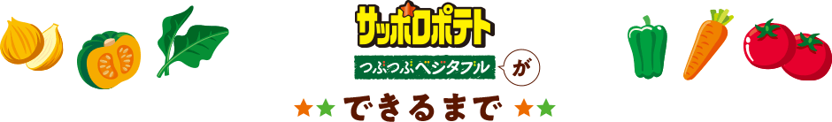 サッポロポテトつぶつぶベジタブルができるまで