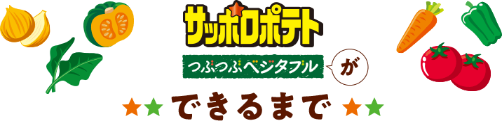 サッポロポテトつぶつぶベジタブルができるまで