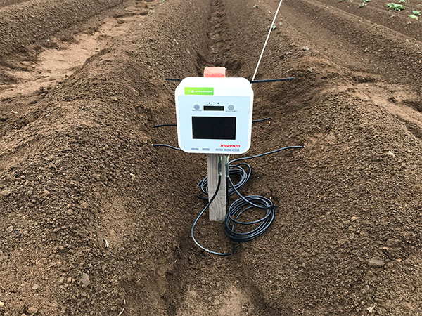 Soil moisture meter installed in a potato field