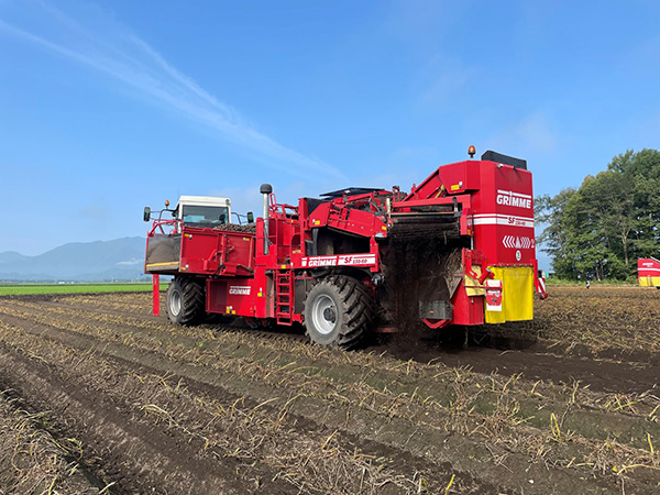 Two-row harvesters capable of harvesting two planted furrows simultaneously. 