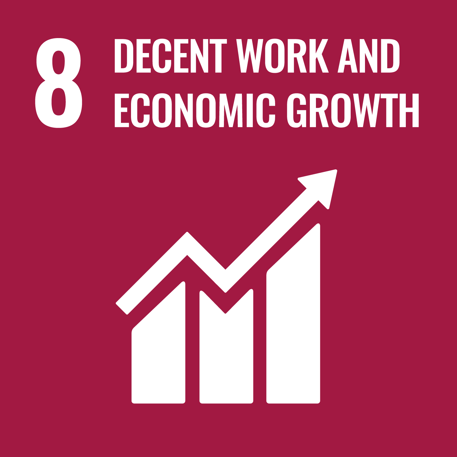 ８. DECENT WORK AND ECONOMIC GROWTH