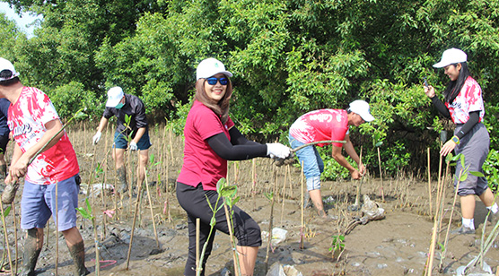 Planting 400 mangrove trees (Samut Prakan Province)