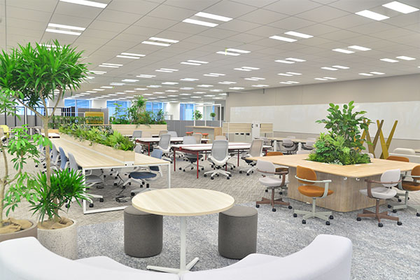 Head office