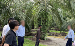 Calbee staff visiting a palm oil plantation