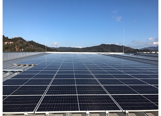 写真:太陽光パネル