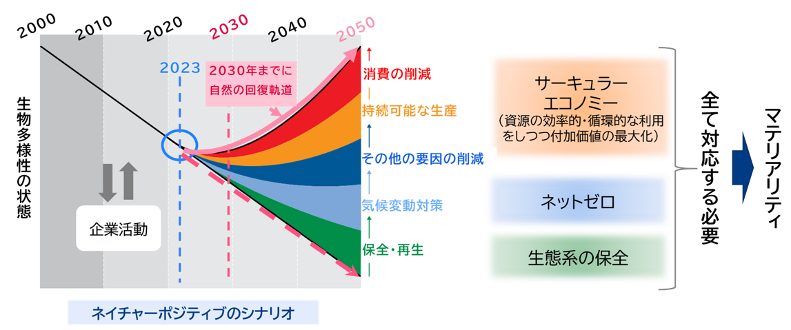 2030年までに自然の回復軌道へ移行し、2050年に向けて生物多様性の改善を目指すネイチャーポジティブのシナリオを示した図