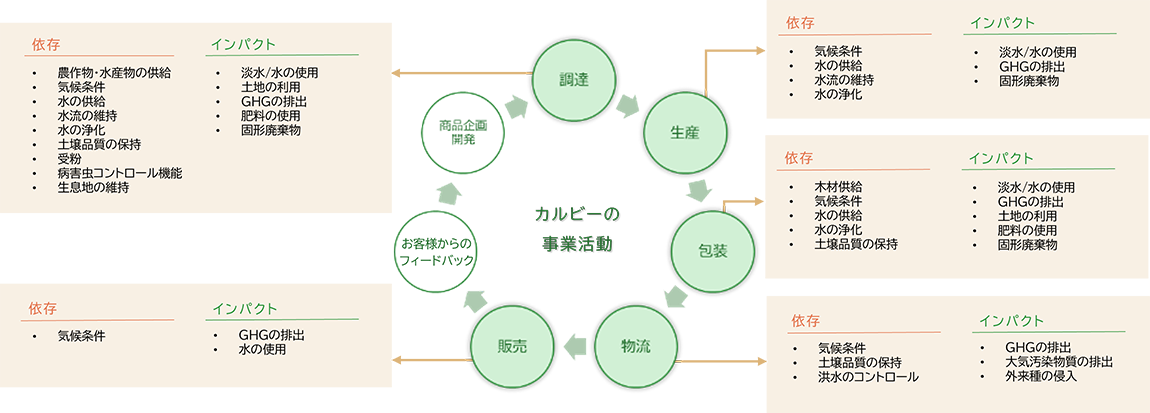 カルビーの事業活動における生物多様性への依存およびインパクトを、調達から販売までのバリューチェーンごとに整理した図