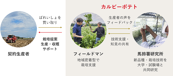 契約生産者とカルビーポテトの持続可能なばれいしょ調達体制の図