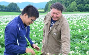 フィールドマンと契約生産者