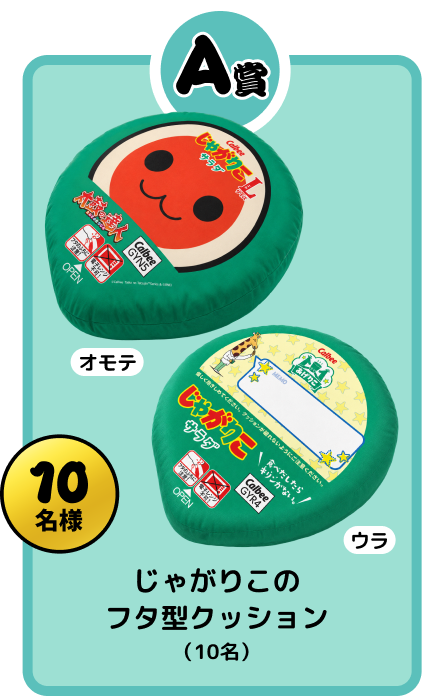 クッションのオモテとウラのデザイン