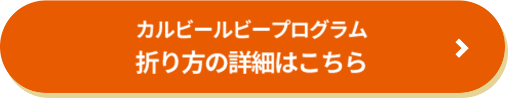 カルビールビープログラム 折り方の詳細はこちら