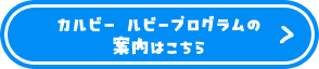 カルビー ルビープログラムの案内はこちら